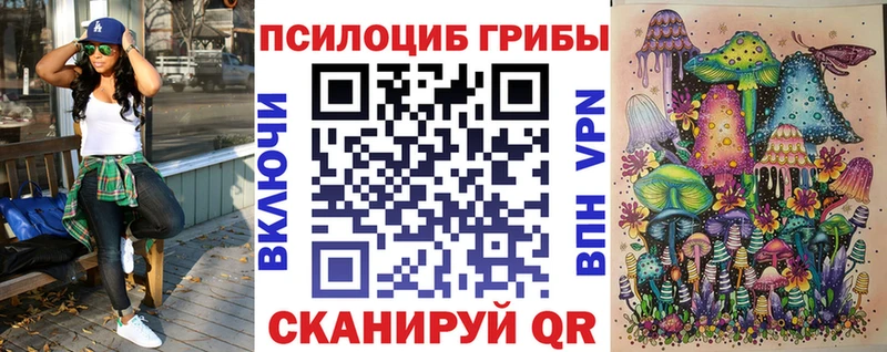 Псилоцибиновые грибы GOLDEN TEACHER  Купить где  Черемхово 